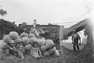 Threshing near Lansing, undated, contributed by Errin Wilker