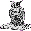 wise owl