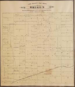 1884 map of Griggs Township