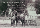 Safleys Cream wagon