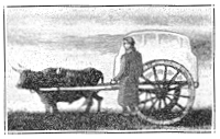 Pioneer with Ox Cart