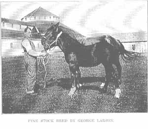 George Larson & Horses