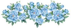 Forget-me-Not Graphic